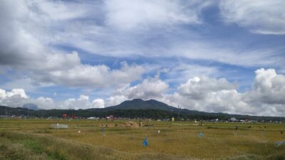 jiwa tani minahasa