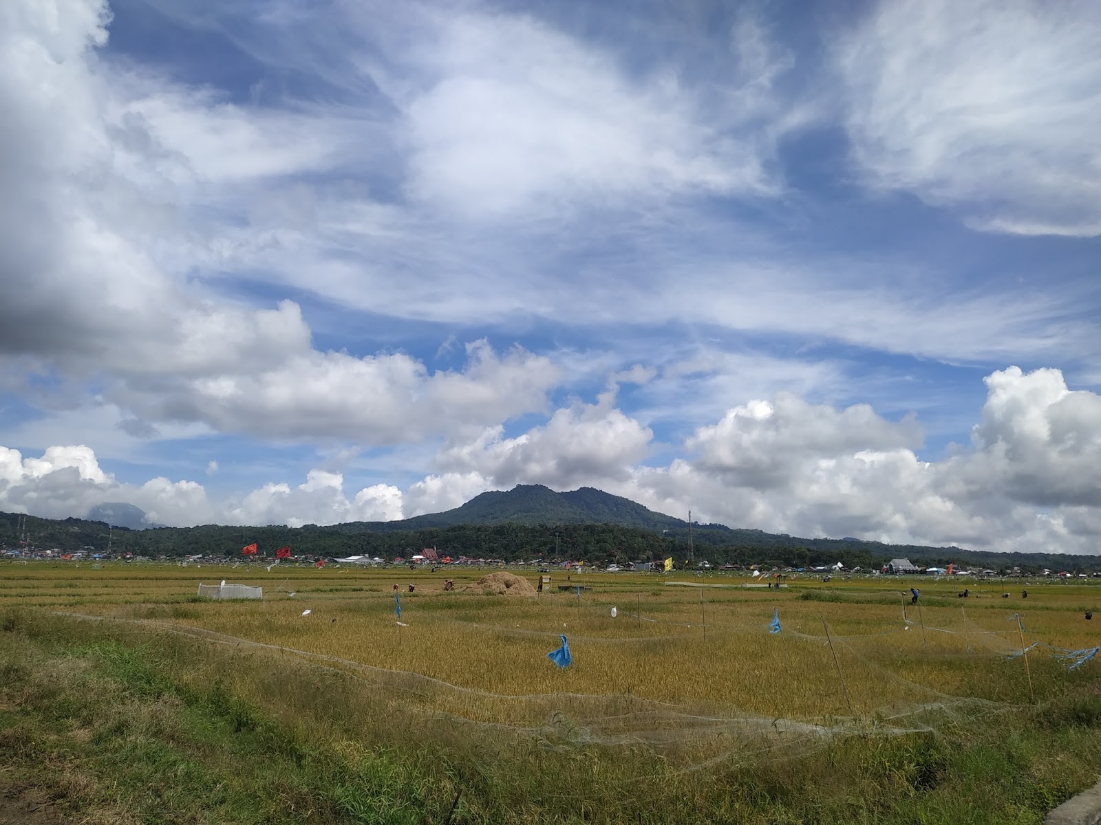 jiwa tani minahasa