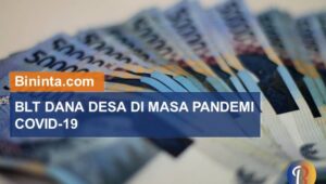 blt dana desa