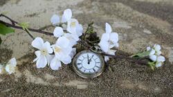 past perfect tense