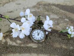 Memahami Past Perfect Tense dan Penggunaannya