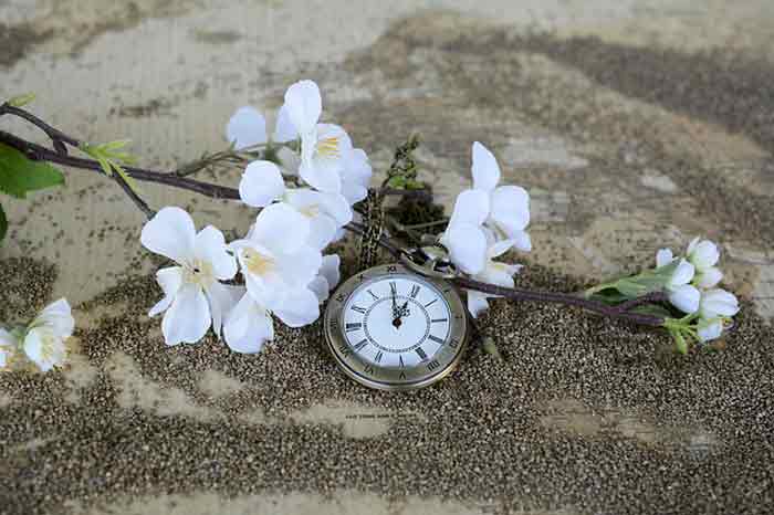 past perfect tense