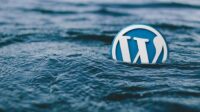 2 Cara Mudah Cek Tema WordPress di Website